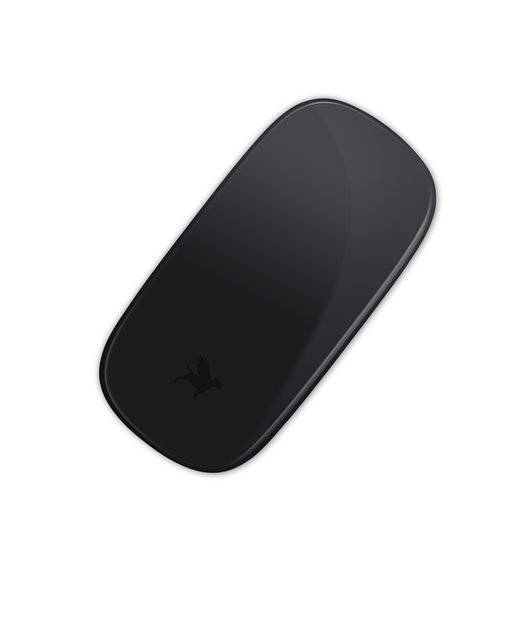 web-souris-2